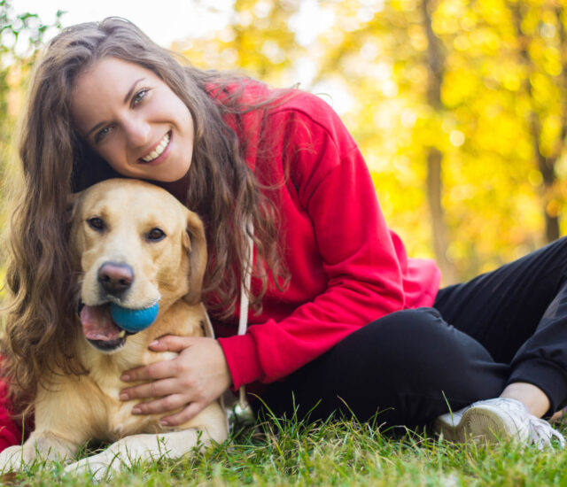 Labs as Perfect Family Pets for Children