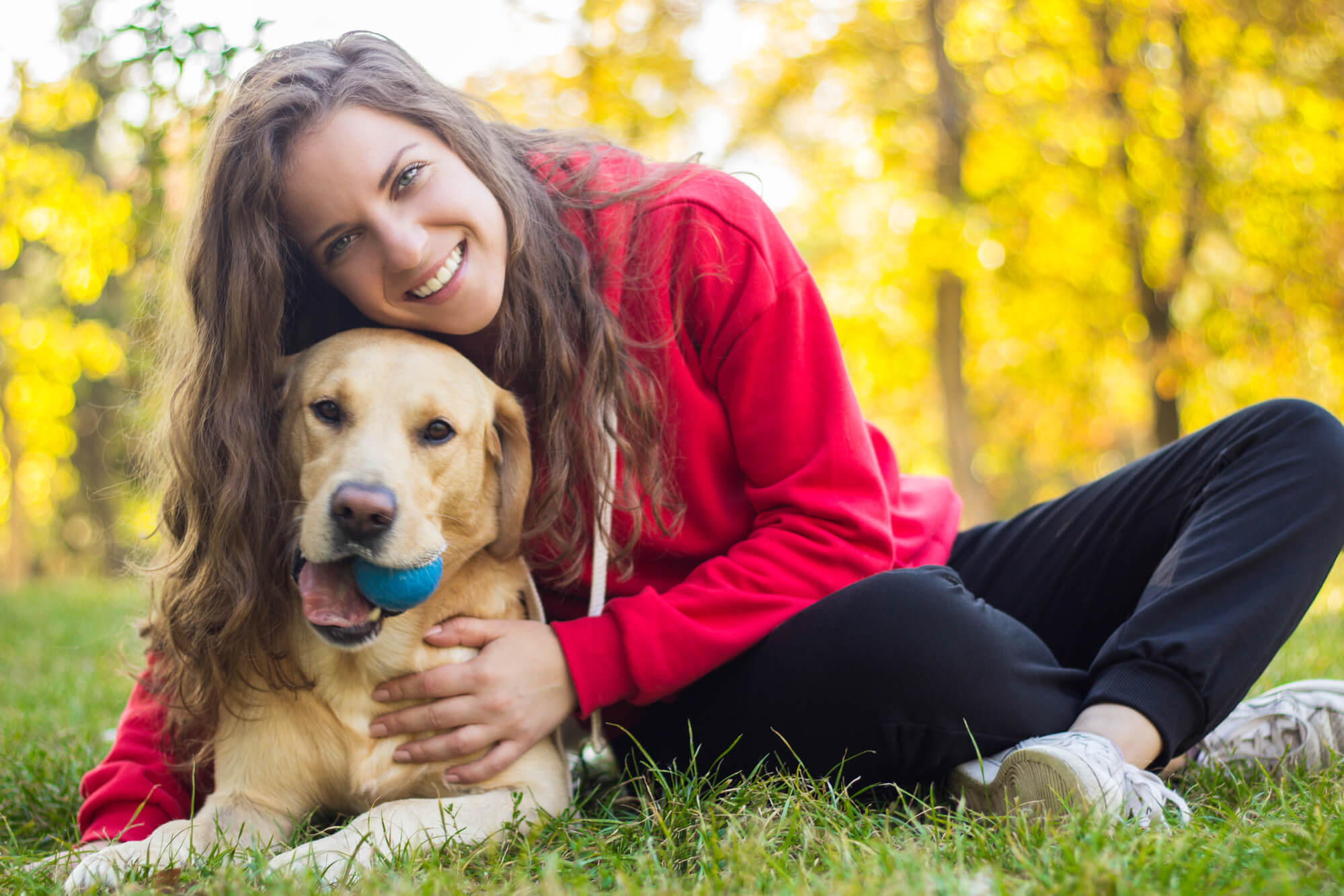 Labs as Perfect Family Pets for Children