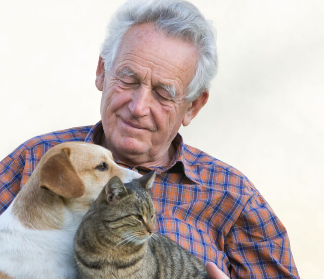 Pets and the Elderly: A Remedy for Loneliness