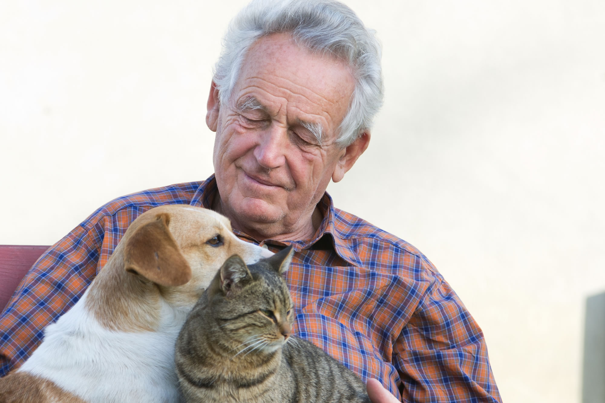 Pets and the Elderly: A Remedy for Loneliness